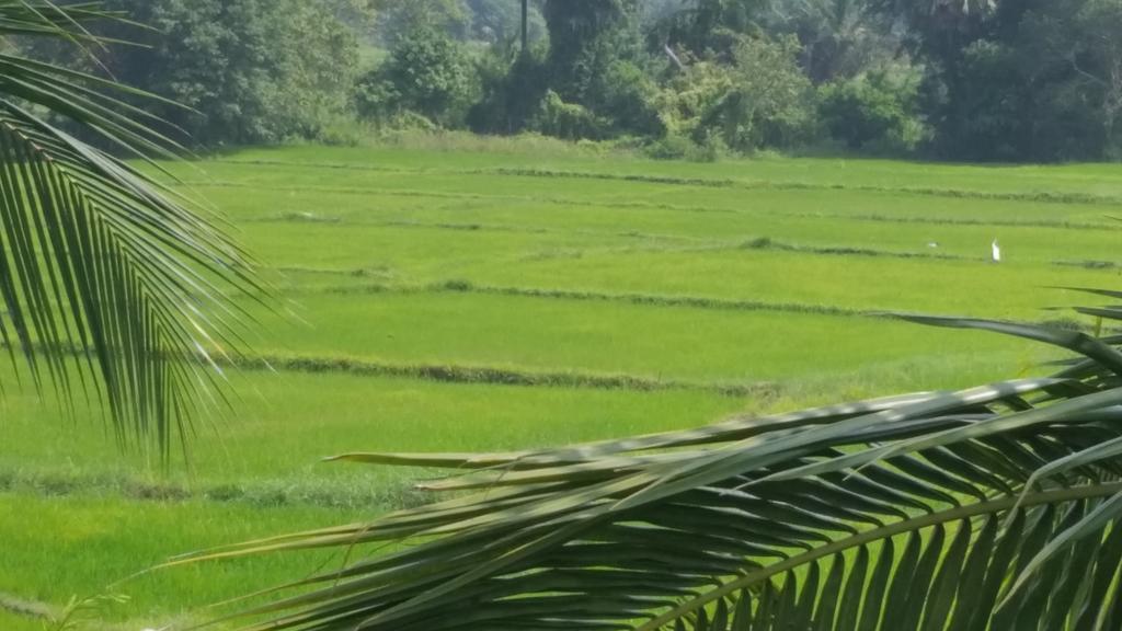Serene View Tourist Rest Hotel Holambra Exterior foto