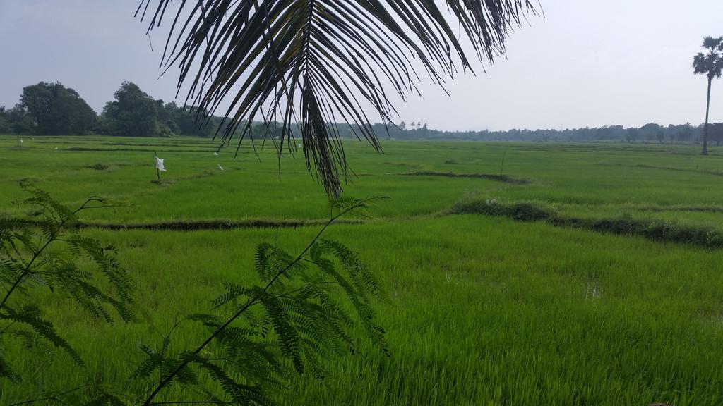 Serene View Tourist Rest Hotel Holambra Exterior foto