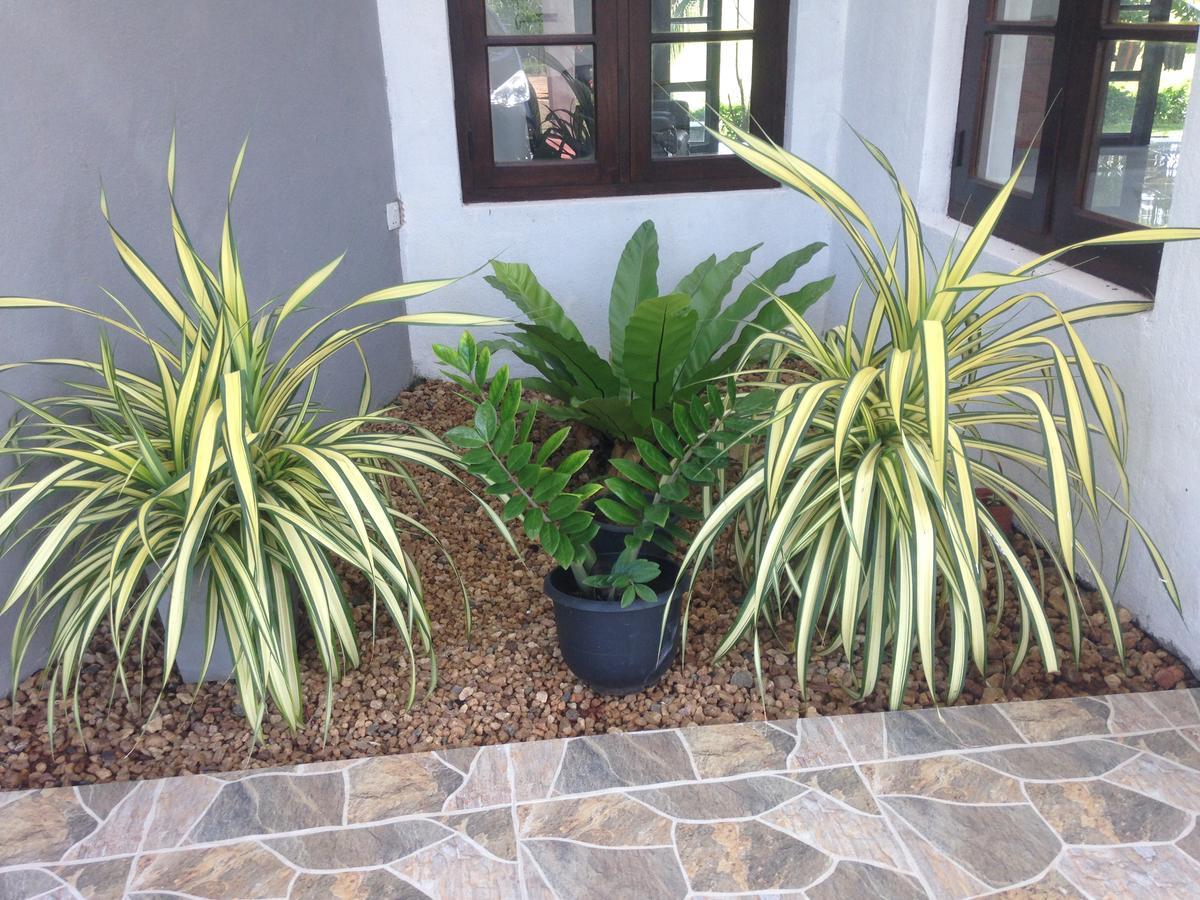 Serene View Tourist Rest Hotel Holambra Exterior foto