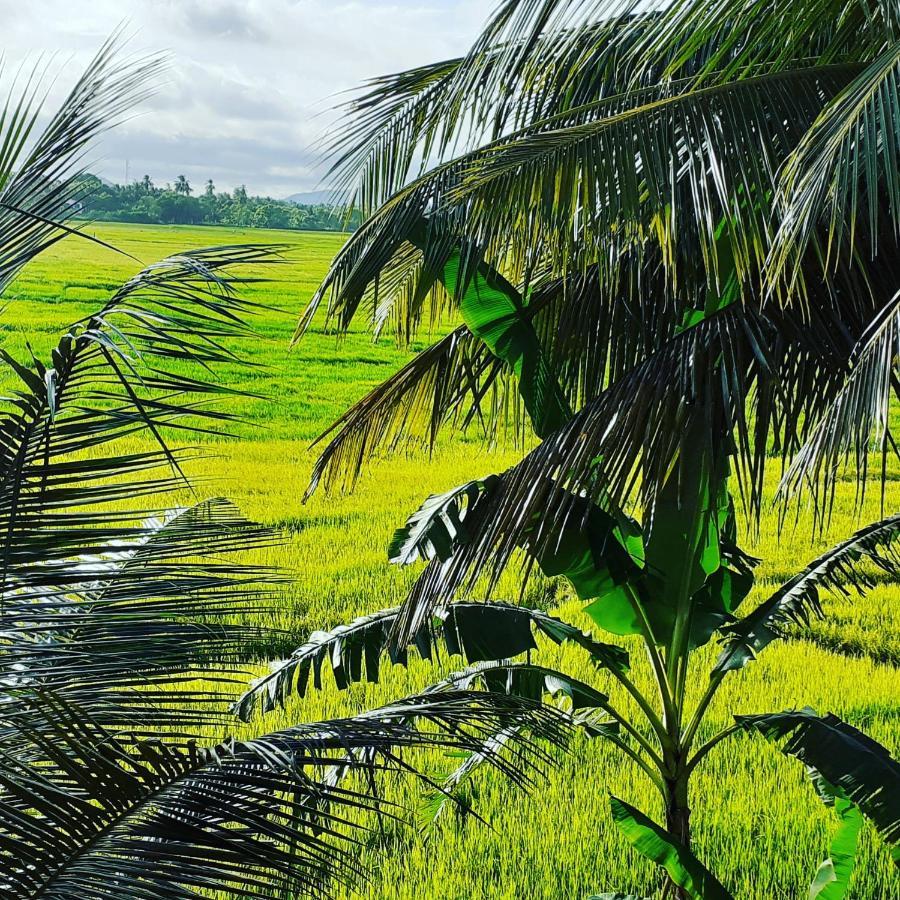 Serene View Tourist Rest Hotel Holambra Exterior foto